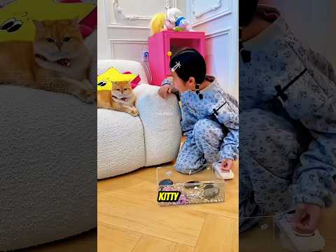 Kitty Encontrou Uma Pequena Tartaruga Para Pihu... E Depois A Ajudou A Encontrá-la Novamente