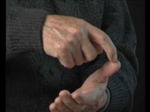 Una lebreta