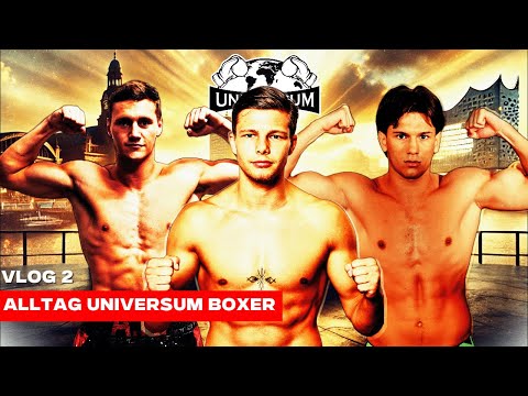 VLOG 2 : ALLTAG UNIVERSUM BOXER 🥊