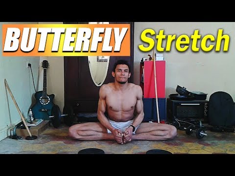 download lagu mp3 mp4 Split Butterfly, download lagu Split Butterfly gratis, unduh video klip Split Butterfly