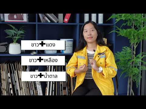 ช่างคุย | เทคนิคการจับคู่สี ภายในบ้านแบบมืออาชีพ