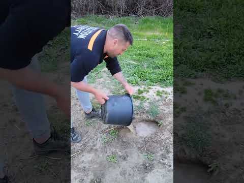 Вот это улов я понимаю🤣👍#юмор #этожизнь