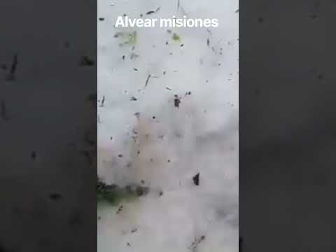 graniso en Alvear misiones #tormentasseveras