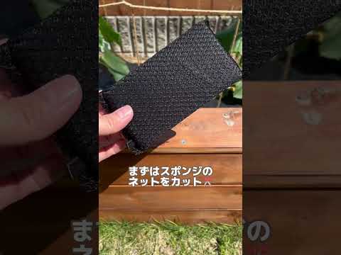 庭にスイバを植える方法は？ – この葉の多い植物の種まき、成長、収穫に関する役立つヒント  庭園