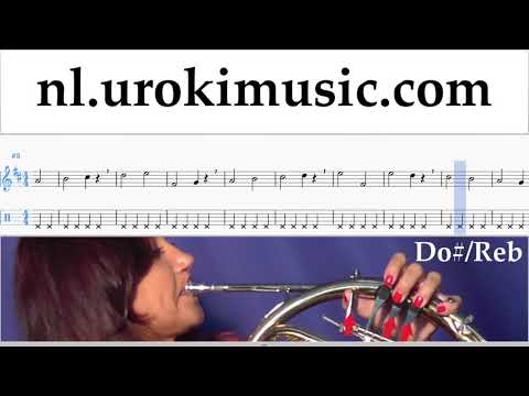 Hoorn Leren Spelen The Pink Panther - Theme Song Tablatura Deel#1 oefeningen um-i799