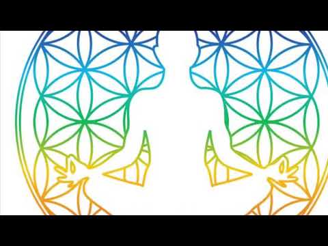 Joga per cdo dite | YOGA LIFE BLERINA