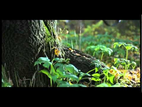 Kosmikud - Öö ei lase magada - Official video