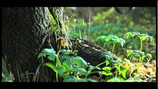 Kosmikud - Öö ei lase magada - Official video