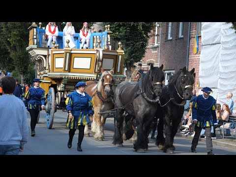 Belgian Draft Horses in the Goat parade in Wilrijk (Antwerp)
