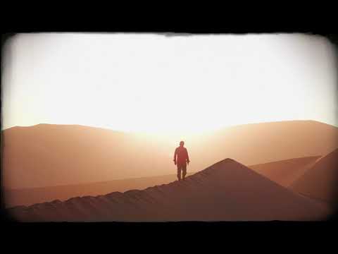 Michael Patrick Kelly - Wildflower (Official Visualizer)