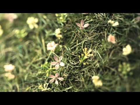 2AM -  Even If I Die, I Can't Let You Go