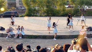 DIA(다이아) 'Mannequin'(마네킹) Busking Stage (한강 버스킹, 은진, 주은, 유니스, 예빈)