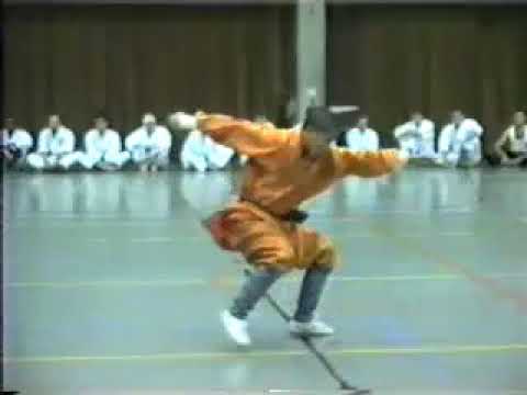 Shaolin Ditang Quan | Martial Arts | Zhang Li Peng
