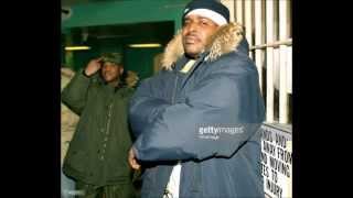 Sheek Louch - The 50 Cent Disses 2