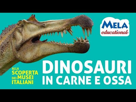 Dinosauri - Parco dinosauri in carne e ossa @Mela_Educational