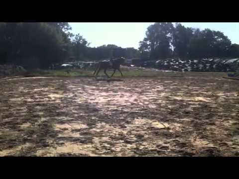 Alabasterstute aus Wohnste