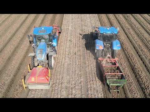 Onion harvest VOF Jansen in Slootdorp with 4x New Holland, 4x Fendt, Holaras, AVR, VGM,  and VHM