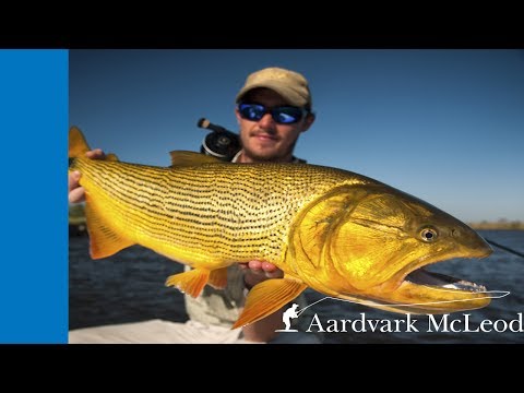 Fishing Pira Lodge, Argentina, for golden dorado on the fly