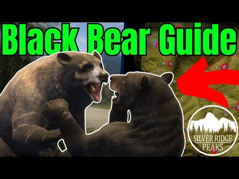 The ULTIMATE Black Bear GREAT ONE Guide for SRP 2025!! - Call of the Wild