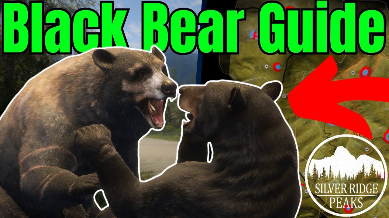 The ULTIMATE Black Bear GREAT ONE Guide for SRP 2025!! - Call of the Wild