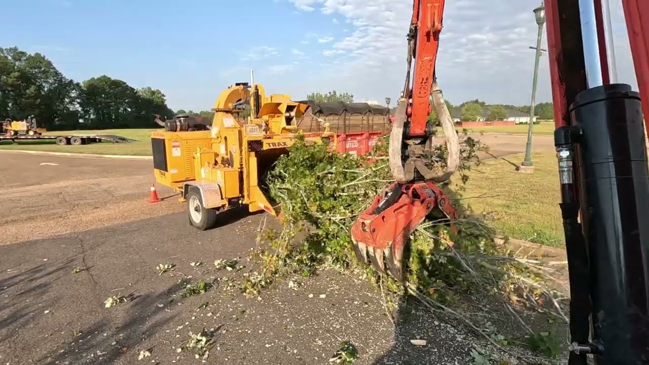 Removing several problem trees