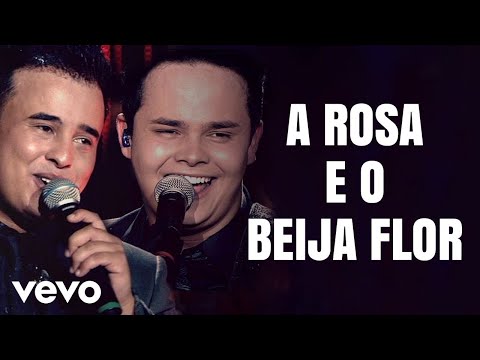 A Rosa E O Beija-Flor