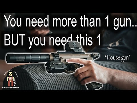 The only gun everyone needs! 