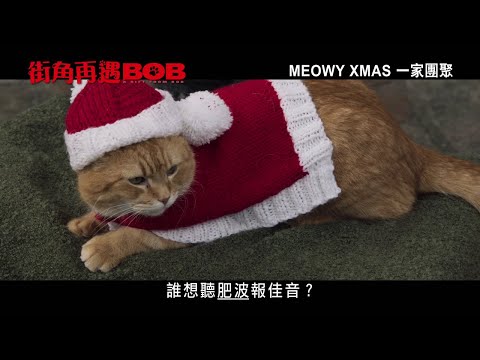 《街角再遇Bob》預告片：官方預告
