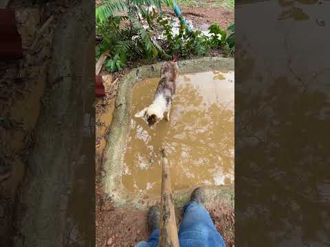 Yara acha que tá ajudando