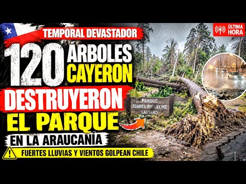 IMPRESIONANTE: PARQUE QUEDÓ DESTRUIDO TRAS LA CAÍDA DE 120 ÁRBOLES