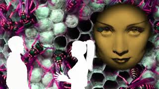 Robyn Hitchcock and The Egyptians-&quot;Madonna Of The Wasps&quot;