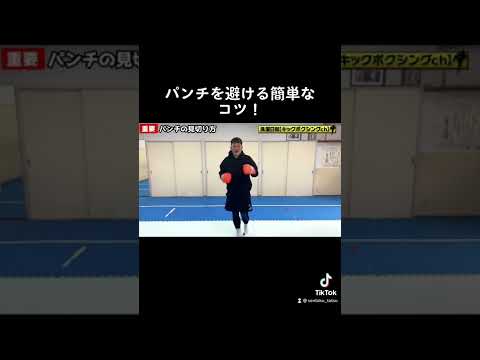 【誰でもできる】パンチを避け方！！！