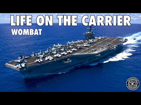 What's It Like To Live On A USN Carrier? | "Wombat" (Hawkeye & Hornet Pilot)