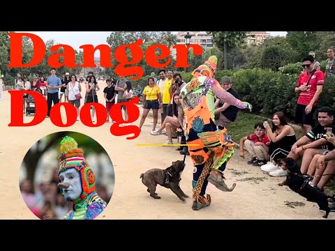 Karcocha en Parque de la Ciudadela - Barcelona España 🇪🇸 07-07-2024