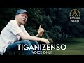 Tiganizenso(Voice only)