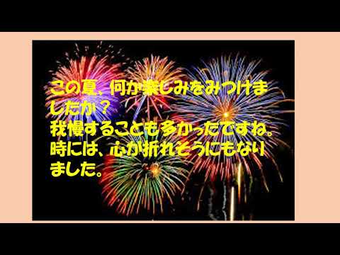 ひよこちゃんねる「こだま」