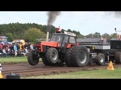 Ursus 1201 & Ursus 1614 Tractor Pulling Hjørring 2015