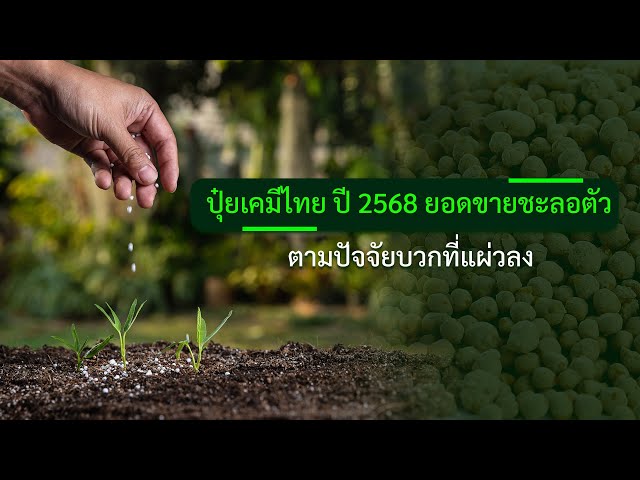 ภาพปกวิดีโอจาก YouTube