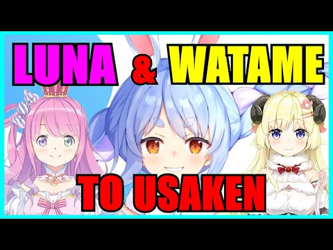 OtakMori Translations - VTubers - 【Hololive】Pekora Planned to Recruit Watame & Luna to Usada Construction【Minecraft】【Eng Sub】