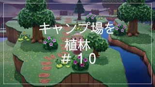 【蒼さんの】キャンプ場周りを綺麗にしたい…【あつ森】♯１０