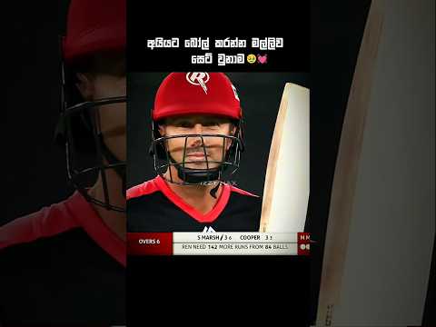 අයියා vs මල්ලි😌💝 #ytshorts #cricket #viralvideo