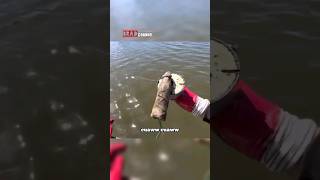 Download lagu This Thing Could Hinder Human Population Growth #shorts mp3 Download lagu This Thing Could Hinder Human Population Growth #shorts mp3
