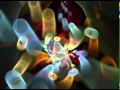 Ozric Tentacles - Tight Spin