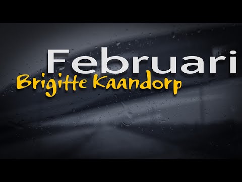 Grijze dag in februari cover