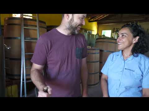 Produção de uvas e vinhos preserva tradição da Região Central do RS - Rio Grande Rural