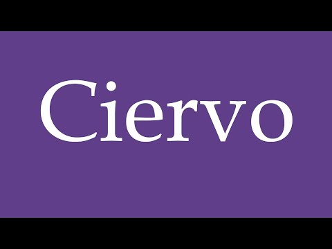 How To Pronounce ''Ciervo'' (Deer) Correctly in Spanish 🇲🇽