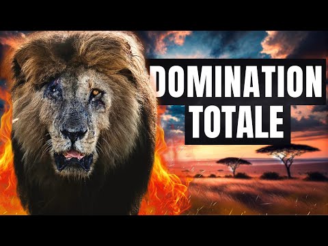 The TRUE Story of SCARFACE the Legendary Lion