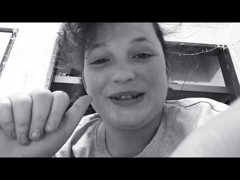 Kitten shat and we gave it a lisen