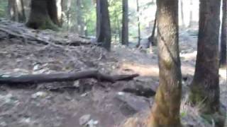 Homeless Man Living in the Cold Mountains of Northern California