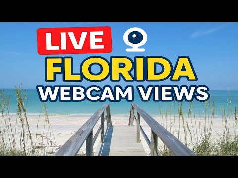 🌴Florida Live: Webcam Views! - MIAMI - PORT MIAMI - FORT LAUDERDALE - ORLANDO - KEY WEST✨🌴